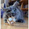 Roman dodecahedron